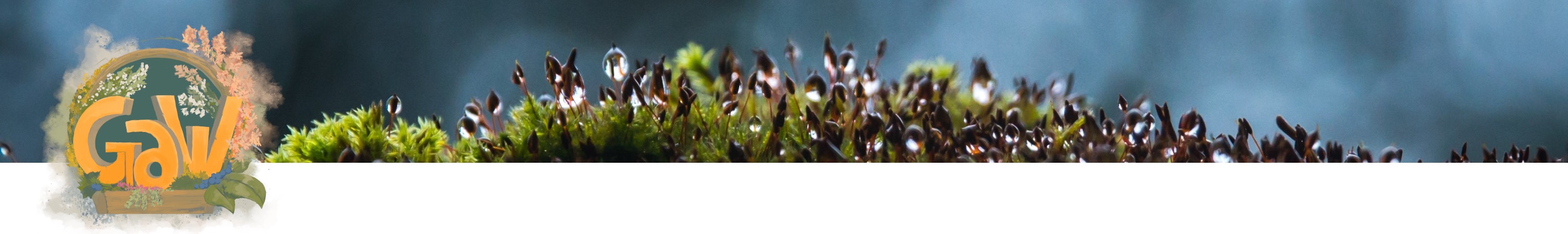 Garten am Wald – Gartenimpression